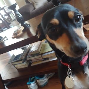 Meet your Posher, Kay